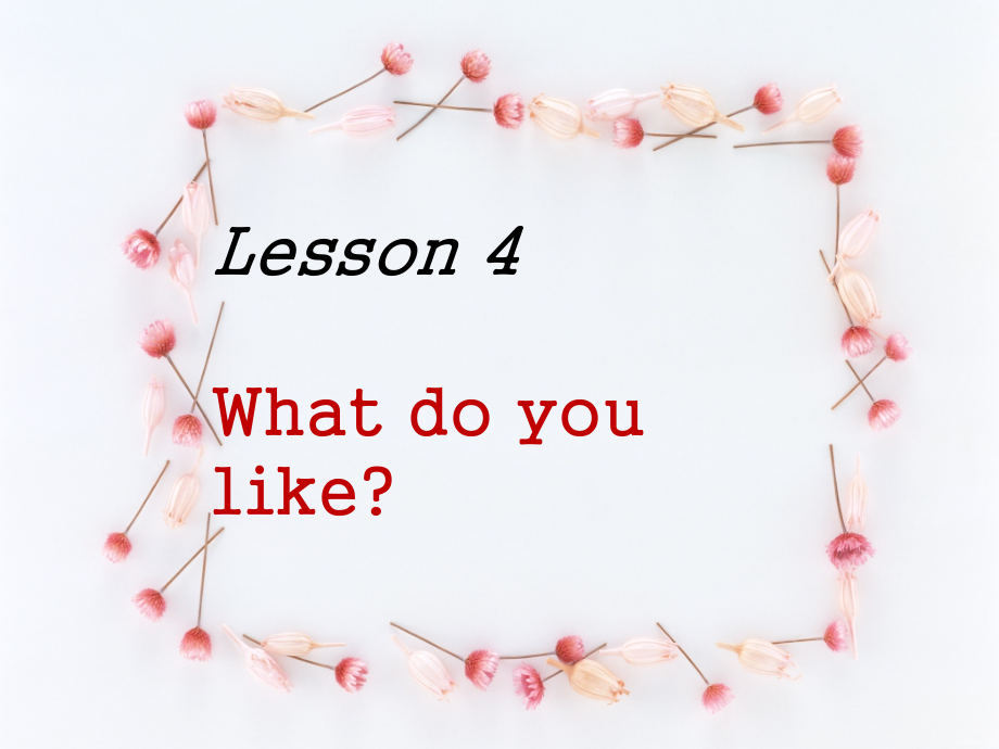 川教版四下Unit 2 Having a Picnic-Lesson 4 What Do You Like -ppt课件-(含教案)--(编号：606ed).zip