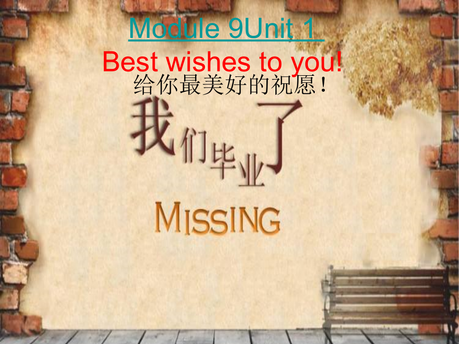 外研版（三起）六年级下册Module 9-Unit 1 Best wishes to you!-ppt课件-(含教案+素材)-市级优课-(编号：211cb).zip