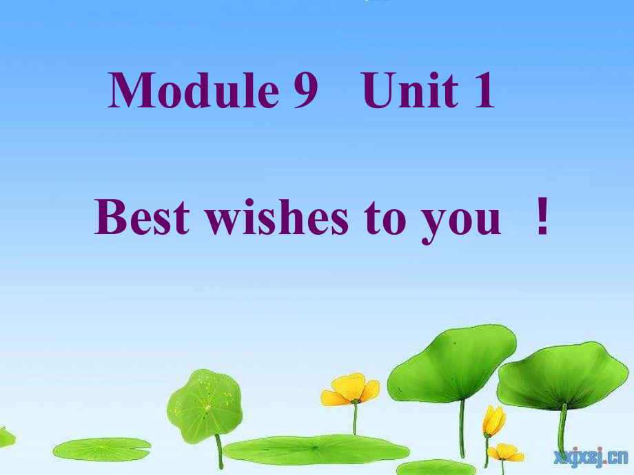 外研版（三起）六年级下册Module 9-Unit 2 Wishing you happiness every day.-ppt课件-(含教案)-市级优课-(编号：5047e).zip