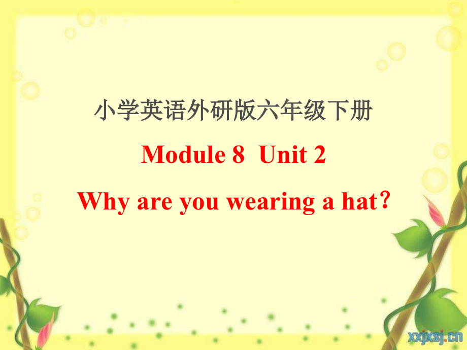 外研版（三起）六年级下册Module 8-Unit 2 Why are you wearing a hat -ppt课件-(含教案+视频+素材)-公开课-(编号：4075a).zip