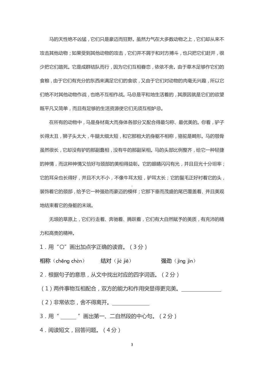 苏州部编版六年级语文上册第三单元测试卷（及答案）.pdf_第3页