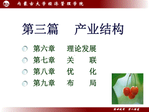 产业经济学第六章（2010）.ppt