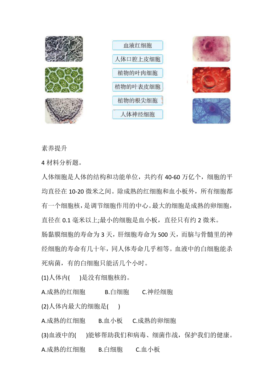 2021新教科版六年级上册科学5 观察更多的生物细胞 巩固练习（含答案）.doc_第3页