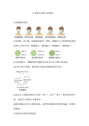 2021新教科版六年级上册科学3 观察身边微小的物体 知识点总结.doc