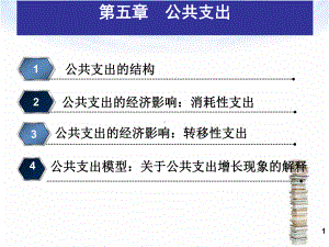 第五章 公共支出.ppt