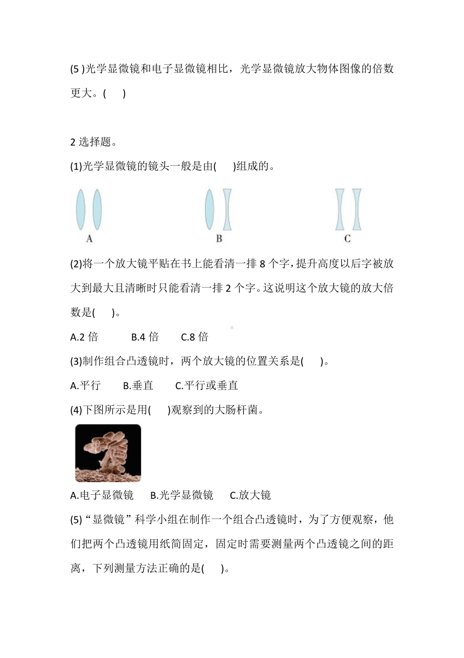 2021新教科版六年级上册科学2 怎样放得更大 巩固练习（含答案）.doc_第2页