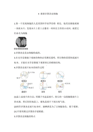 2021新教科版六年级上册科学4 观察洋葱表皮细胞 知识点总结.doc