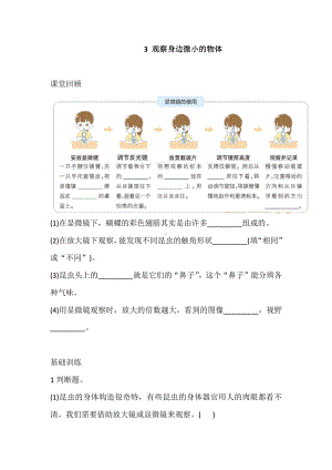 2021新教科版六年级上册科学3 观察身边微小的物体 巩固练习（含答案）.doc