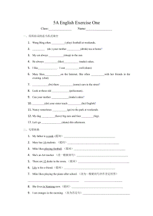 译林版五上英语5A English Exercise.docx