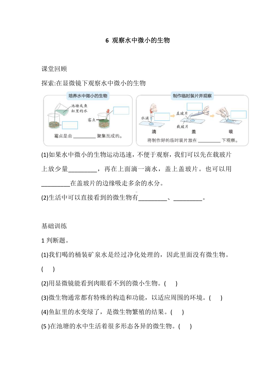 2021新教科版六年级上册科学6 观察水中微小的生物 巩固练习（含答案）.doc_第1页