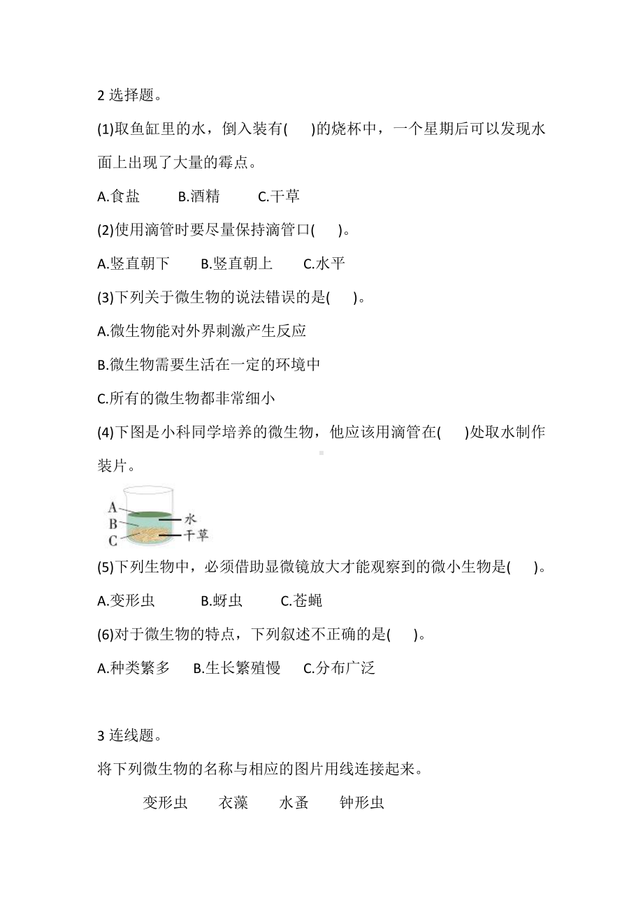 2021新教科版六年级上册科学6 观察水中微小的生物 巩固练习（含答案）.doc_第2页