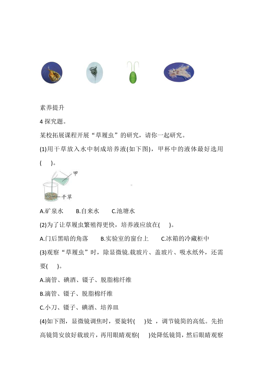 2021新教科版六年级上册科学6 观察水中微小的生物 巩固练习（含答案）.doc_第3页