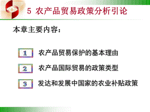 农产品国际贸易：8农业贸易政策分析引论(丁颖班2014修订).ppt