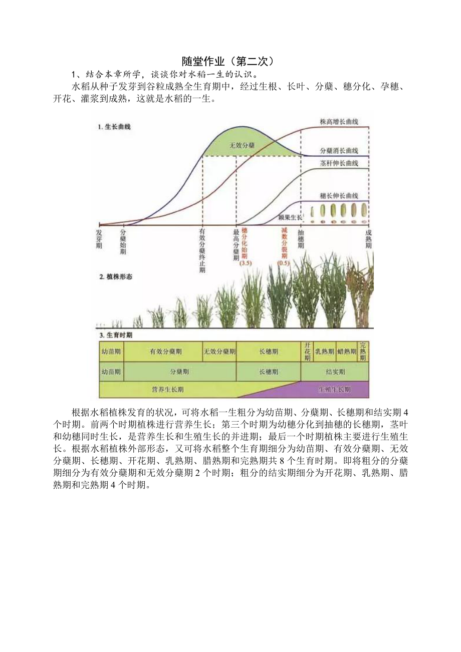 农学概论：随堂作业（第二次）答案.doc_第1页