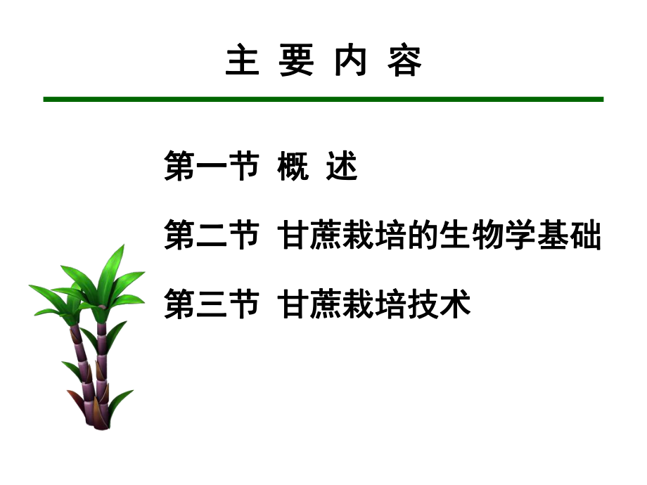 农学概论：08甘蔗栽培.ppt_第2页