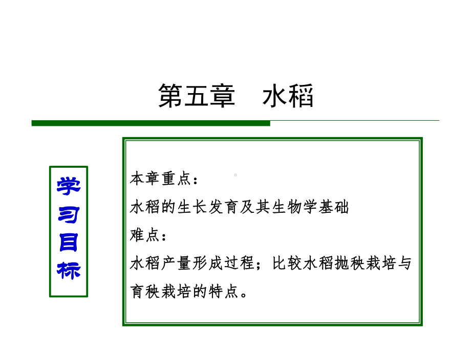 农学概论：05水稻（一）.ppt_第1页