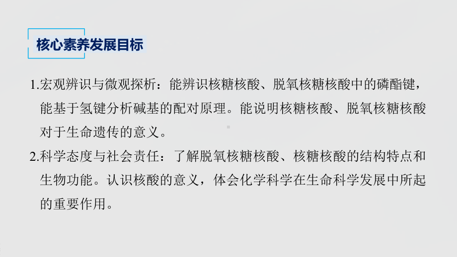 2022届高中化学新教材同步选择性必修第三册 第4章 第三节 核酸.pptx_第3页