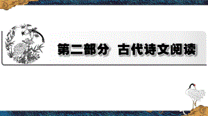 文言文专题 PPT.ppt