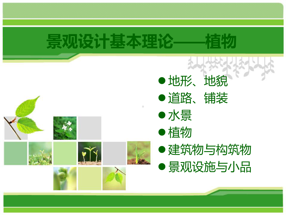 3（1） 植物.ppt_第1页