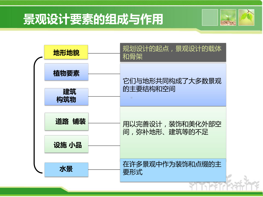 3（1） 植物.ppt_第3页