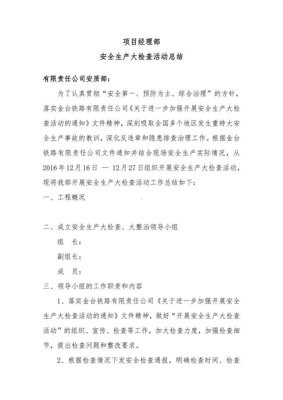 安全生产大检查活动总结.docx_第1页