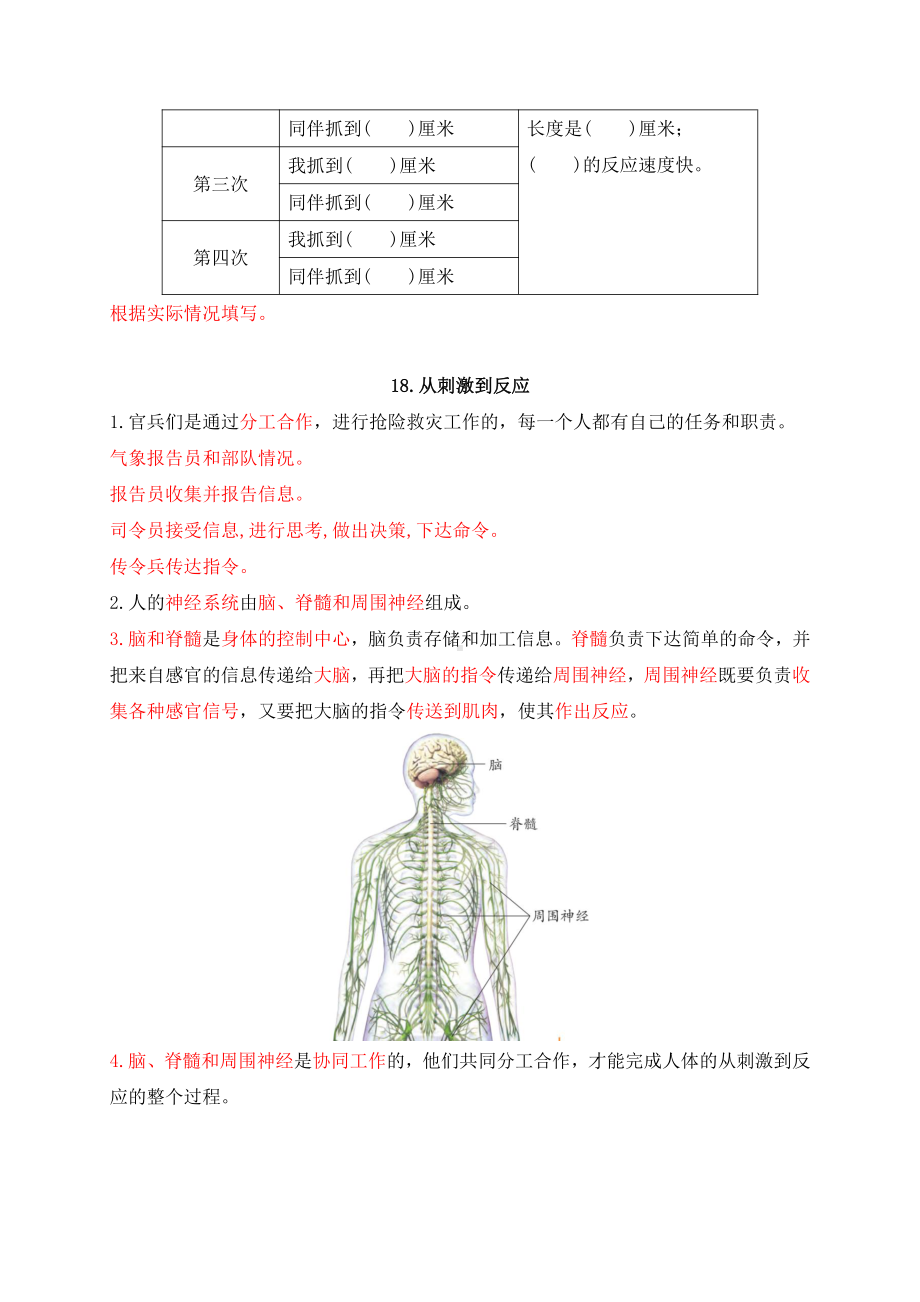 2021年新苏教版科学五年级上册第五单元《人体“司令部”》知识点整理.docx_第3页