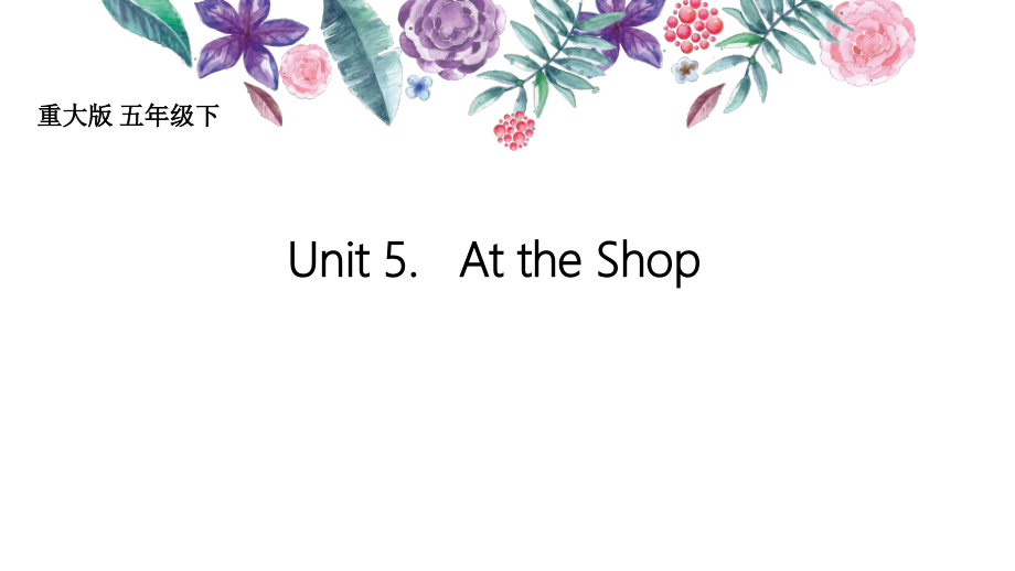 重庆大学版五年级下册Unit 5 At the Shop-Lesson 1-ppt课件-(含教案+素材)--(编号：008ab).zip