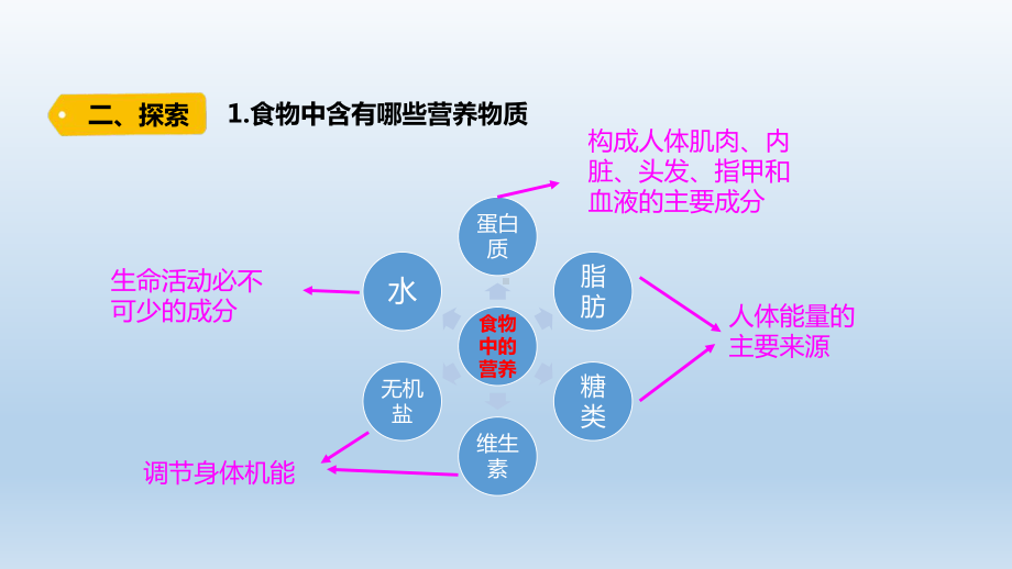 小学科学教科版四年级上册第二单元第5课《食物中的营养》课件（2020版）.pptx_第3页