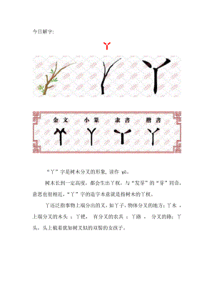 （汉字深度解析）今日解字：丫.docx