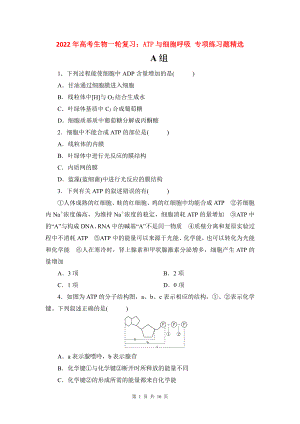 2022年高考生物一轮复习：ATP与细胞呼吸 专项练习题精选（含答案解析）.doc