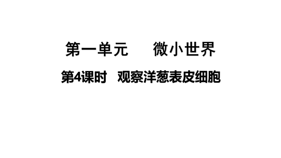 2021新教科版六年级上册科学1.4观察洋葱表皮细胞ppt课件（含视频）.zip