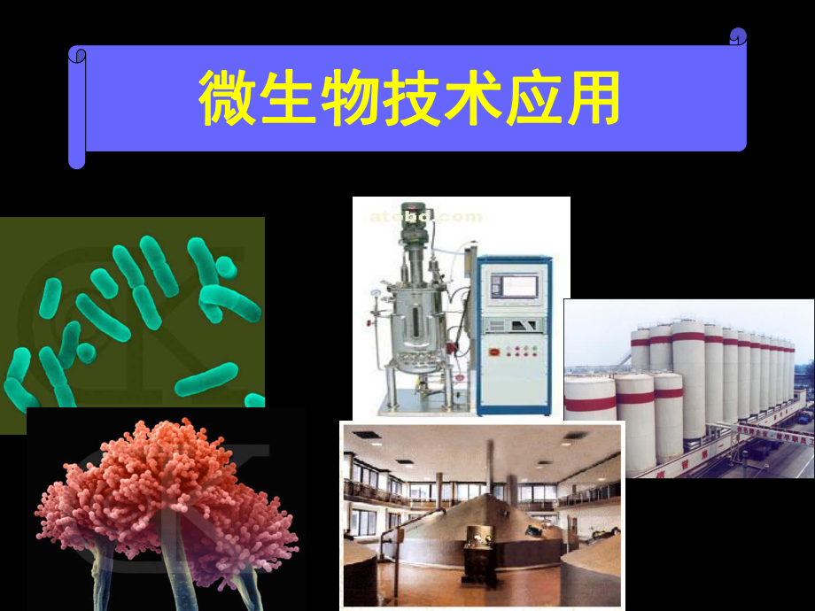 微生物技术应用学全册配套最完整精品课件2.ppt_第2页