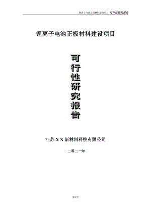 锂离子电池正极材料建设项目可行性研究报告-立项方案.doc