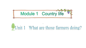 教科版（广州）六年级上册英语Module 1 Country life Unit 1 What are those farmers doing 第2课时ppt课件.pptx