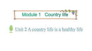 教科版（广州）六年级上册英语module 1 country life unit 2 a country life is a healthy life 第2课时 ppt课件.pptx