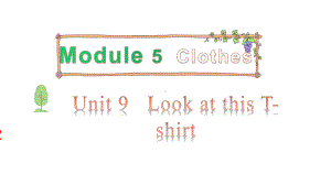 教科版（广州）四年级上册英语Module 5 Clothes Unit 9 Look at this T-shirt 第二课时 ppt课件.pptx