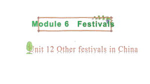 教科版（广州）六年级上册英语Module 6 Festivals Unit 12 Other festival in China 第1课时ppt课件.pptx