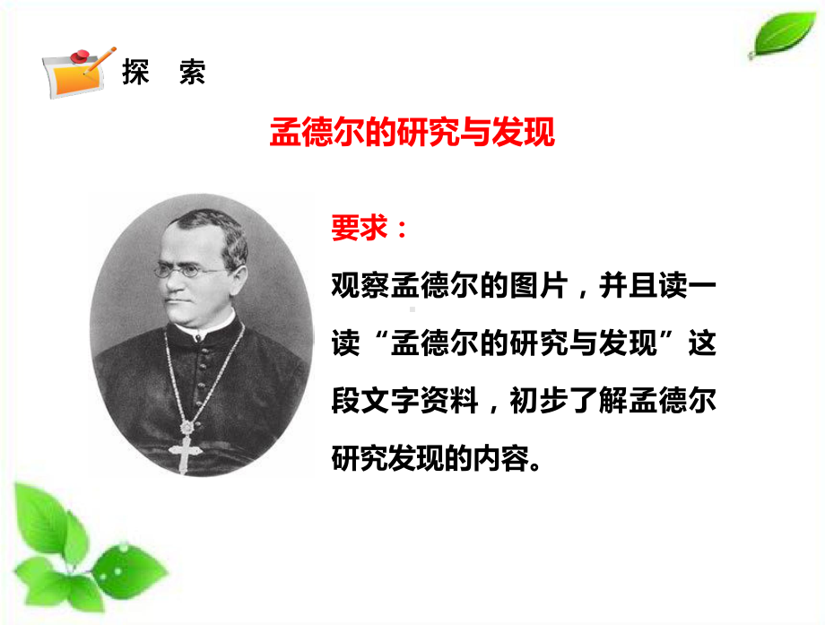 2021新苏教版六年级上册科学7寻找遗传与变异的秘密 课件.pptx_第3页