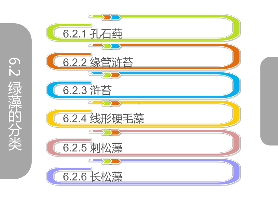 海藻学实验全册配套最完整精品课件(英文版）.ppt_第3页