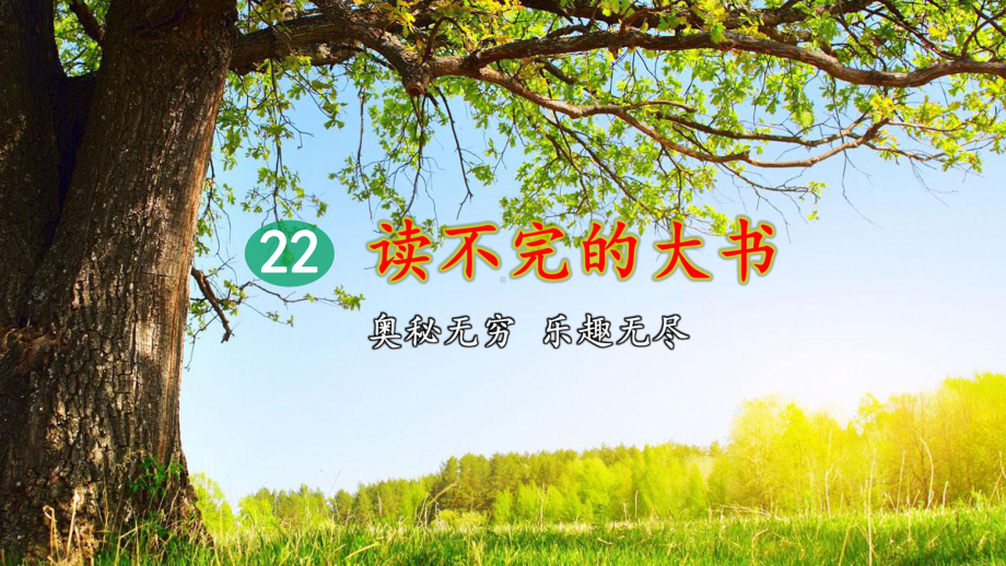 人教统编版三年级上册语文22 读不完的大书（第2课时）ppt课件.pptx_第1页