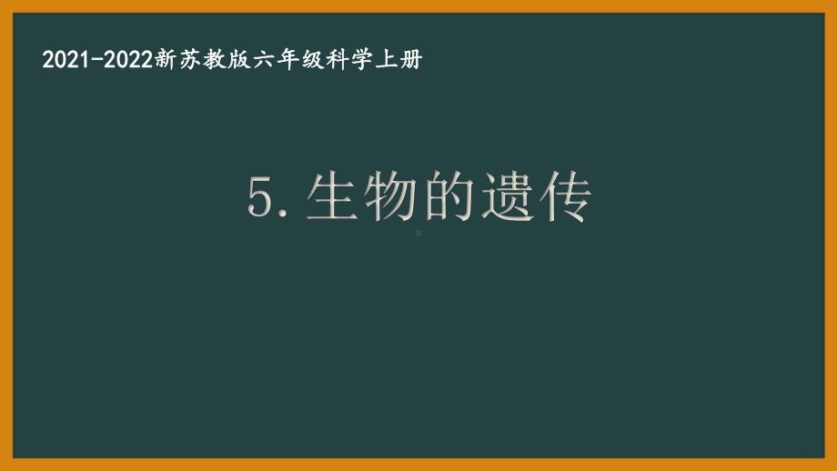 新苏教版2021秋学期六年级科学上册第二单元《遗传与变异》全部课件(共3课时).pptx_第1页