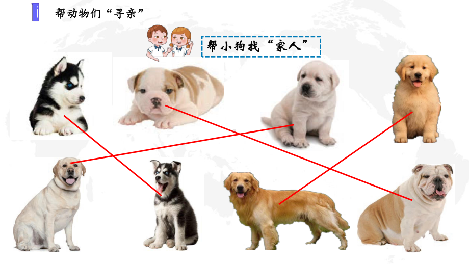 新苏教版2021秋学期六年级科学上册第二单元《遗传与变异》全部课件(共3课时).pptx_第2页