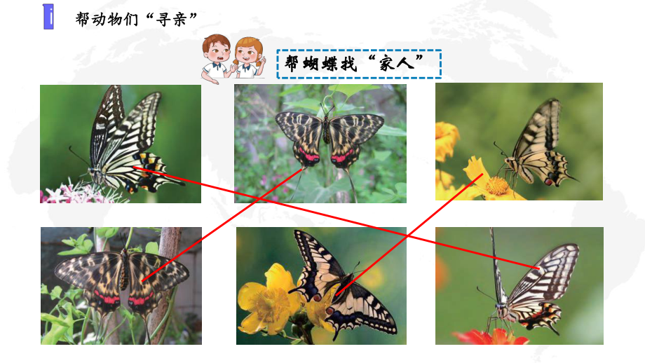 新苏教版2021秋学期六年级科学上册第二单元《遗传与变异》全部课件(共3课时).pptx_第3页