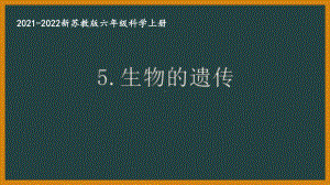 新苏教版2021秋学期六年级科学上册第二单元《遗传与变异》全部课件(共3课时).pptx