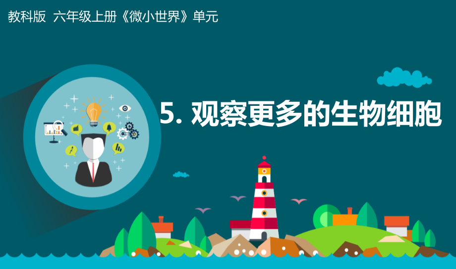 2021新教科版六年级上册科学1.5观察更多的生物细胞 ppt课件（含记录单+视频）.zip