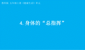 小学科学教科版五年级上册第四单元第4课《身体的“总指挥”》课件7（2021新版）.pptx