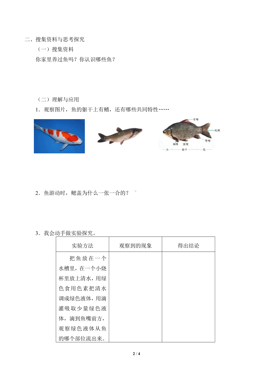 2021新青岛版（六三制）四年级上册科学 2 鱼 学案（无答案）.docx_第2页