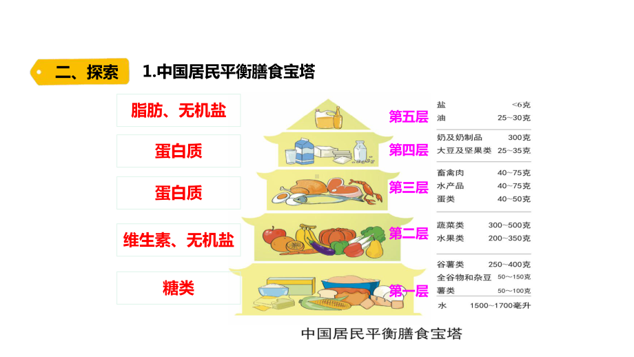 2021新教科版四年级上册科学2.6.《营养要均衡》 ppt课件.pptx_第3页