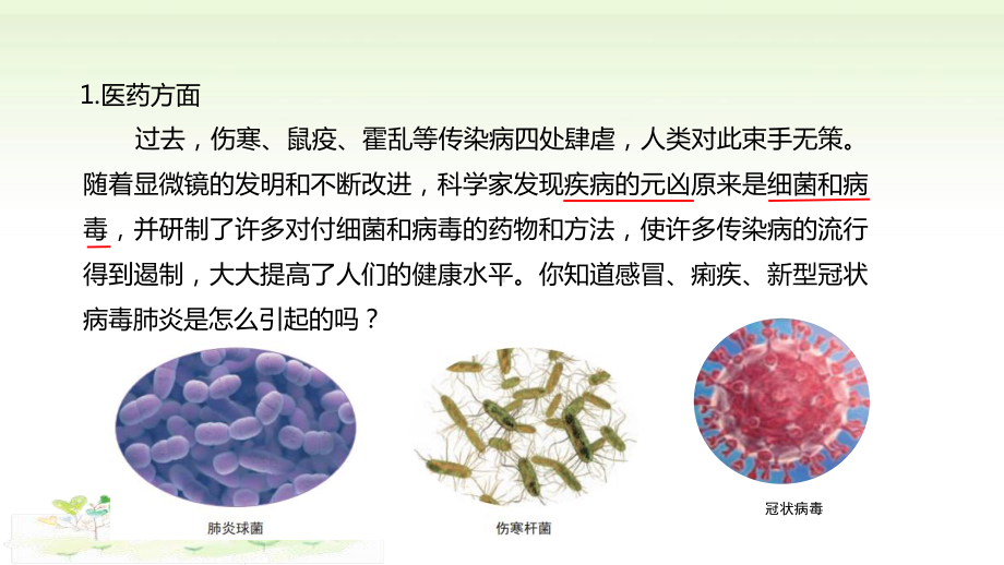 2021新教科版六年级上册科学1-7《微生物与健康》 ppt课件.pptx_第3页