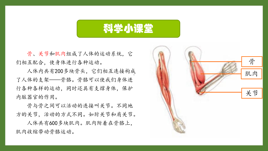 新教科版2021~2022五年级科学上册第四单元《2身体的运动》课件.pptx_第3页